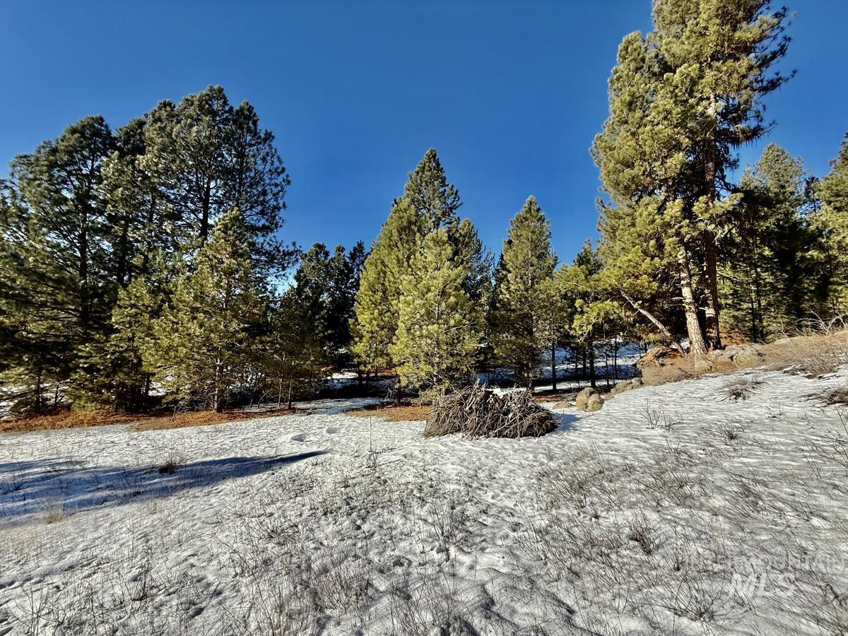 Ptn Lot 7 Packer John Road, Cascade, Idaho 83611, Land For Sale, Price $175,000,MLS 98980274