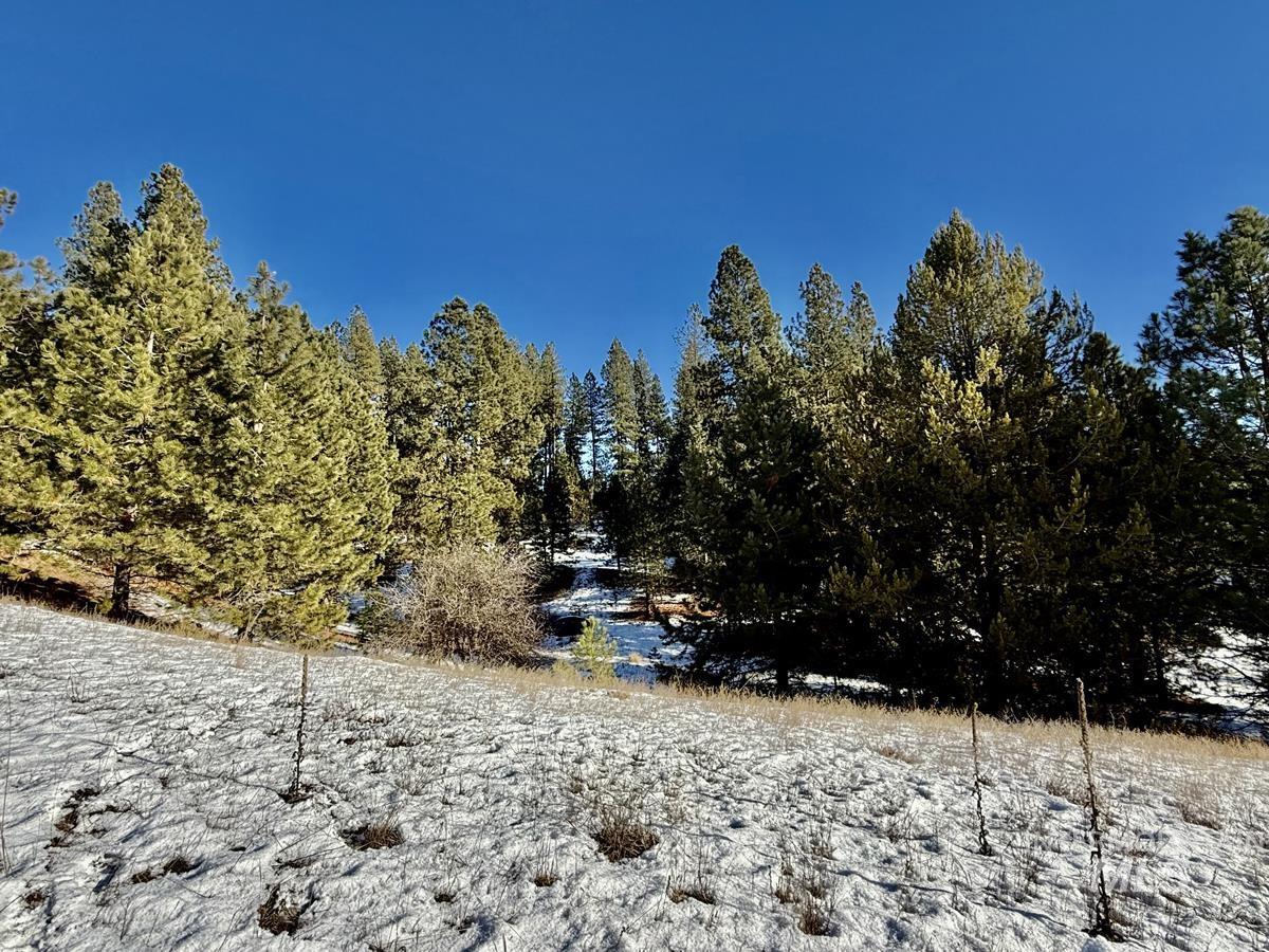 Ptn Lot 7 Packer John Road, Cascade, Idaho 83611, Land For Sale, Price $175,000,MLS 98980274