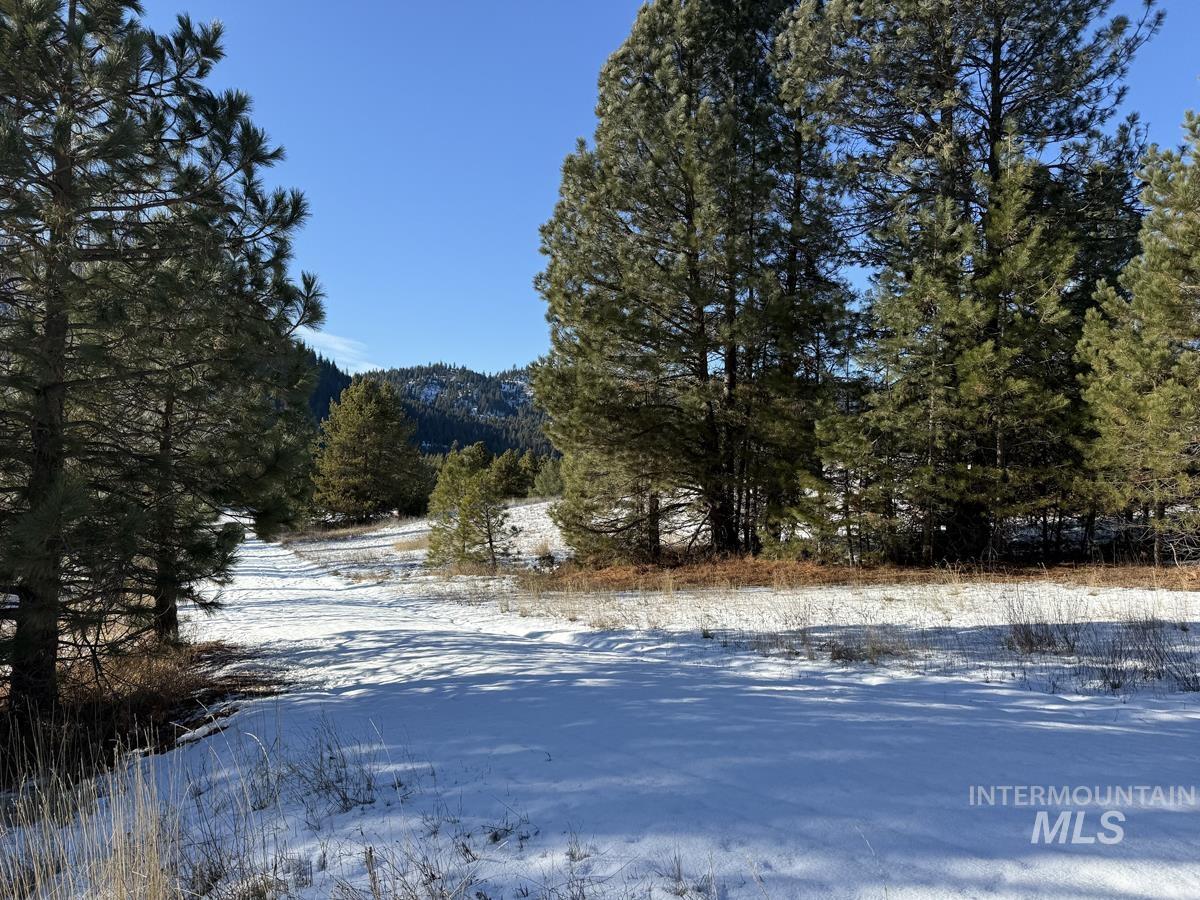 Ptn Lot 7 Packer John Road, Cascade, Idaho 83611, Land For Sale, Price $175,000,MLS 98980274