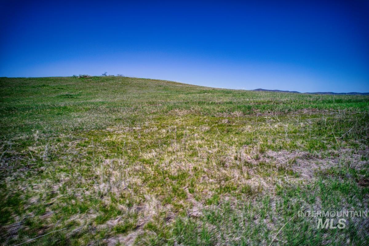 Parcel A&B Timber Flat Rd., Ola, Idaho 83657, Land For Sale, Price $785,000, 98980280