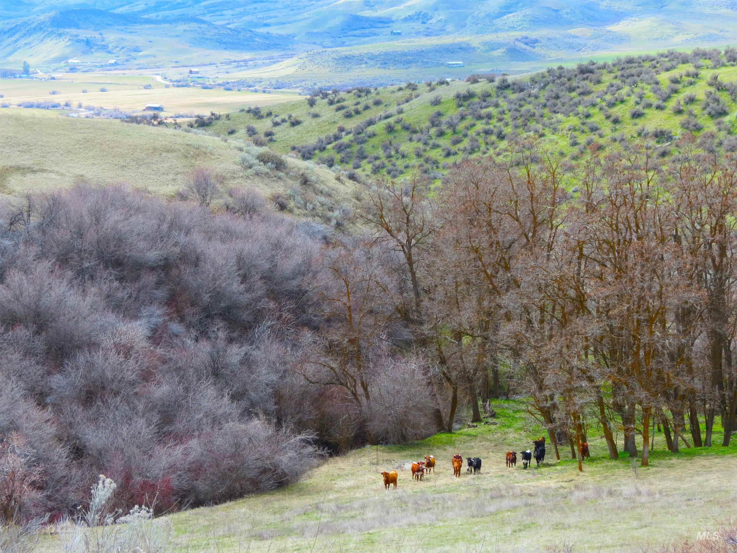 Parcel A&B Timber Flat Rd., Ola, Idaho 83657, Land For Sale, Price $785,000, 98980280