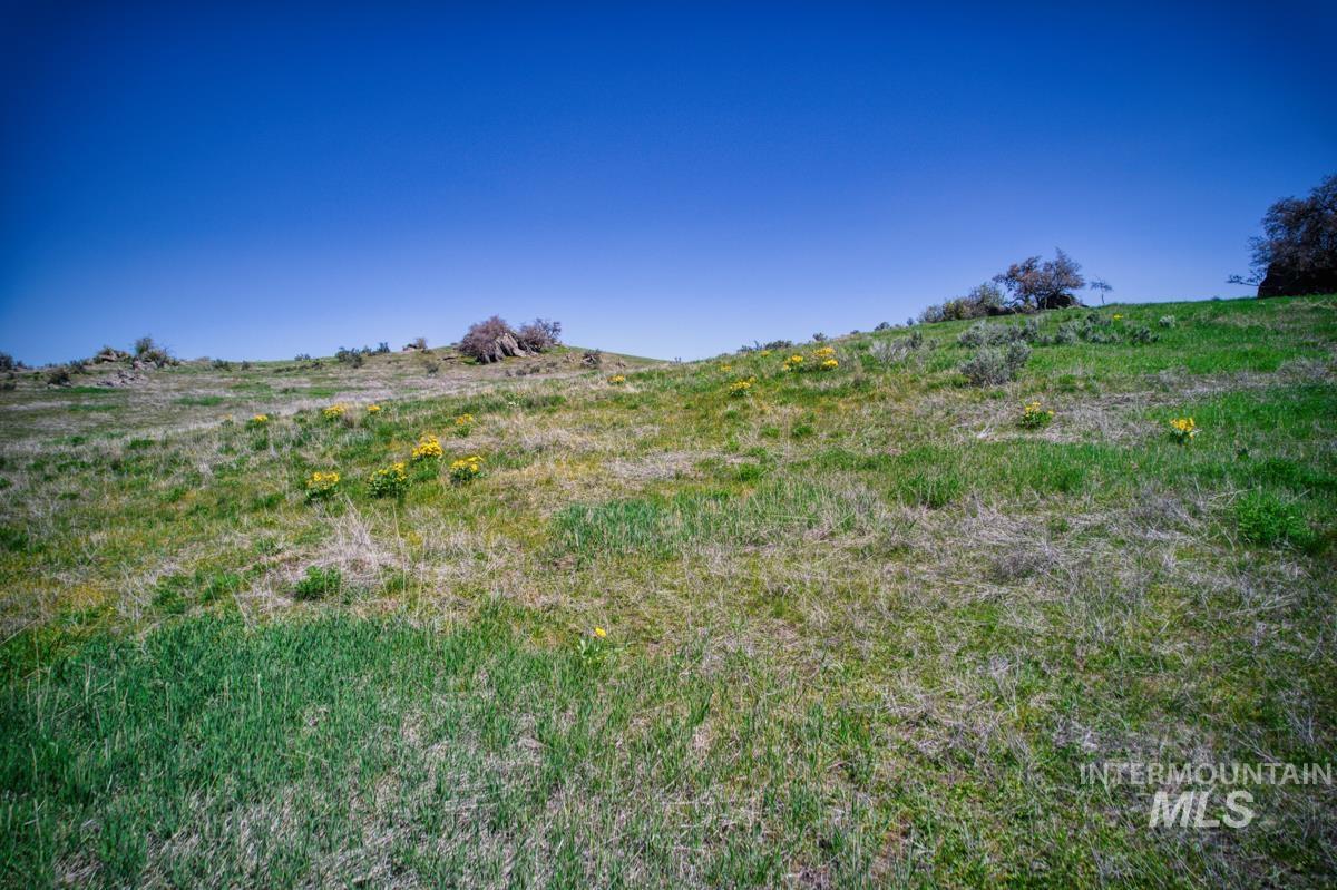 Parcel A&B Timber Flat Rd., Ola, Idaho 83657, Land For Sale, Price $785,000, 98980280