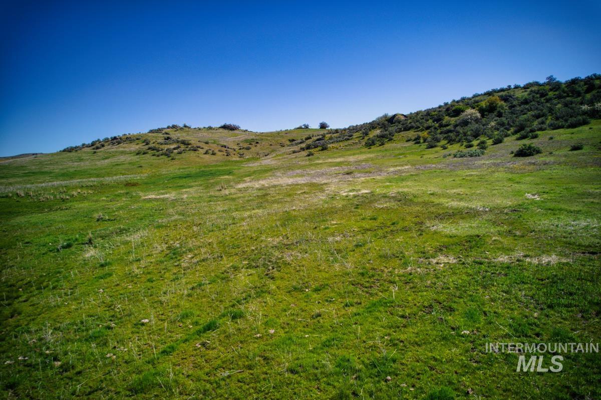 Parcel A&B Timber Flat Rd., Ola, Idaho 83657, Land For Sale, Price $785,000, 98980280