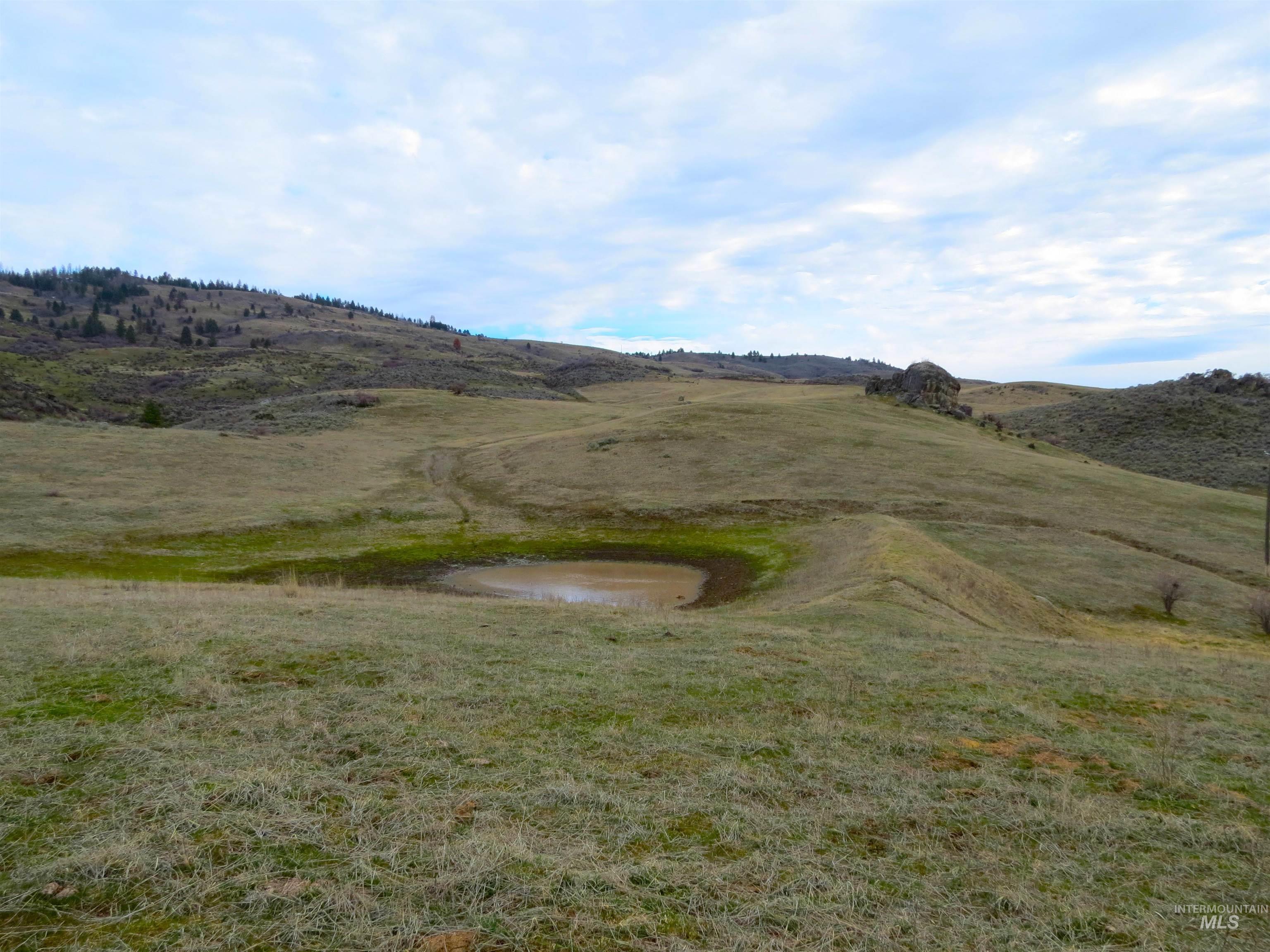 Parcel A&B Timber Flat Rd., Ola, Idaho 83657, Land For Sale, Price $785,000, 98980280