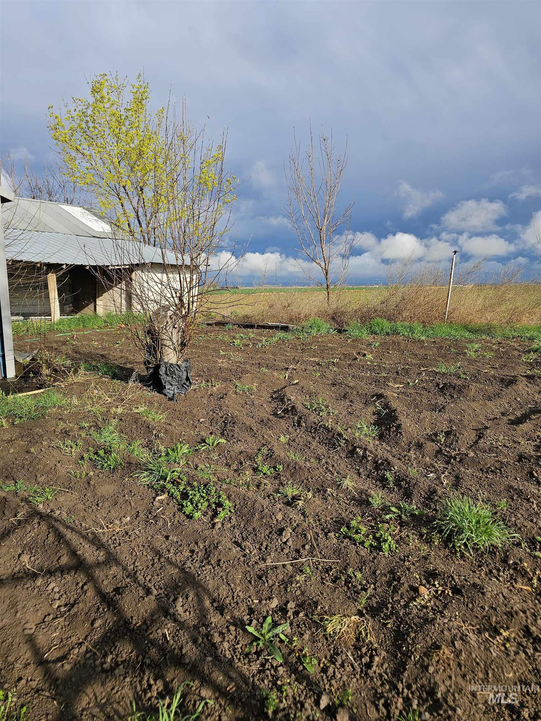 28754 HWY 18, Parma, Idaho 83660-6924, 4 Bedrooms, 1 Bathroom, Residential For Sale, Price $310,000, 98980291