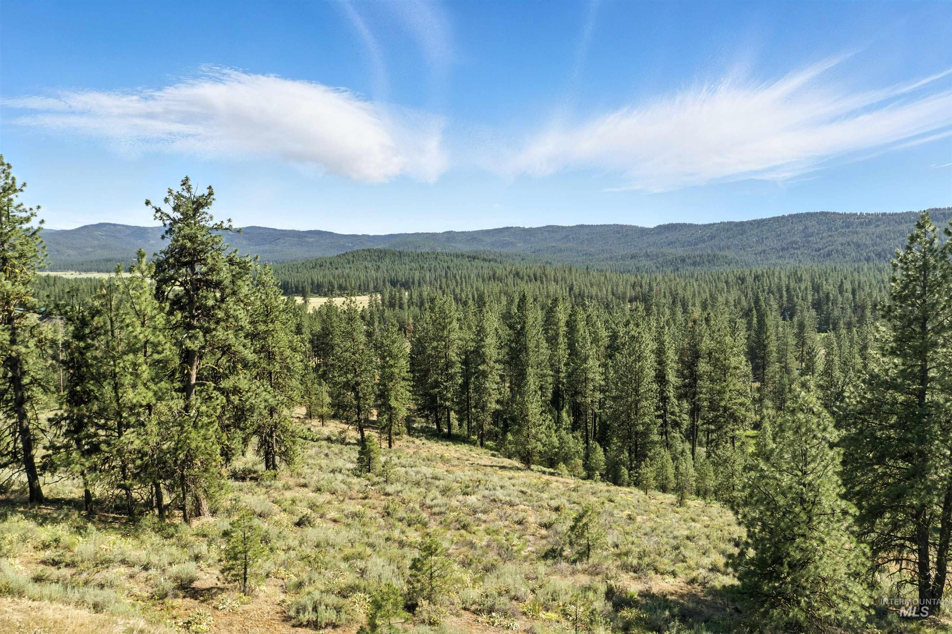 Lot 7 BLK1 Van Dorn Estates, New Meadows, Idaho 83654, Land For Sale, Price $249,900,MLS 98980322