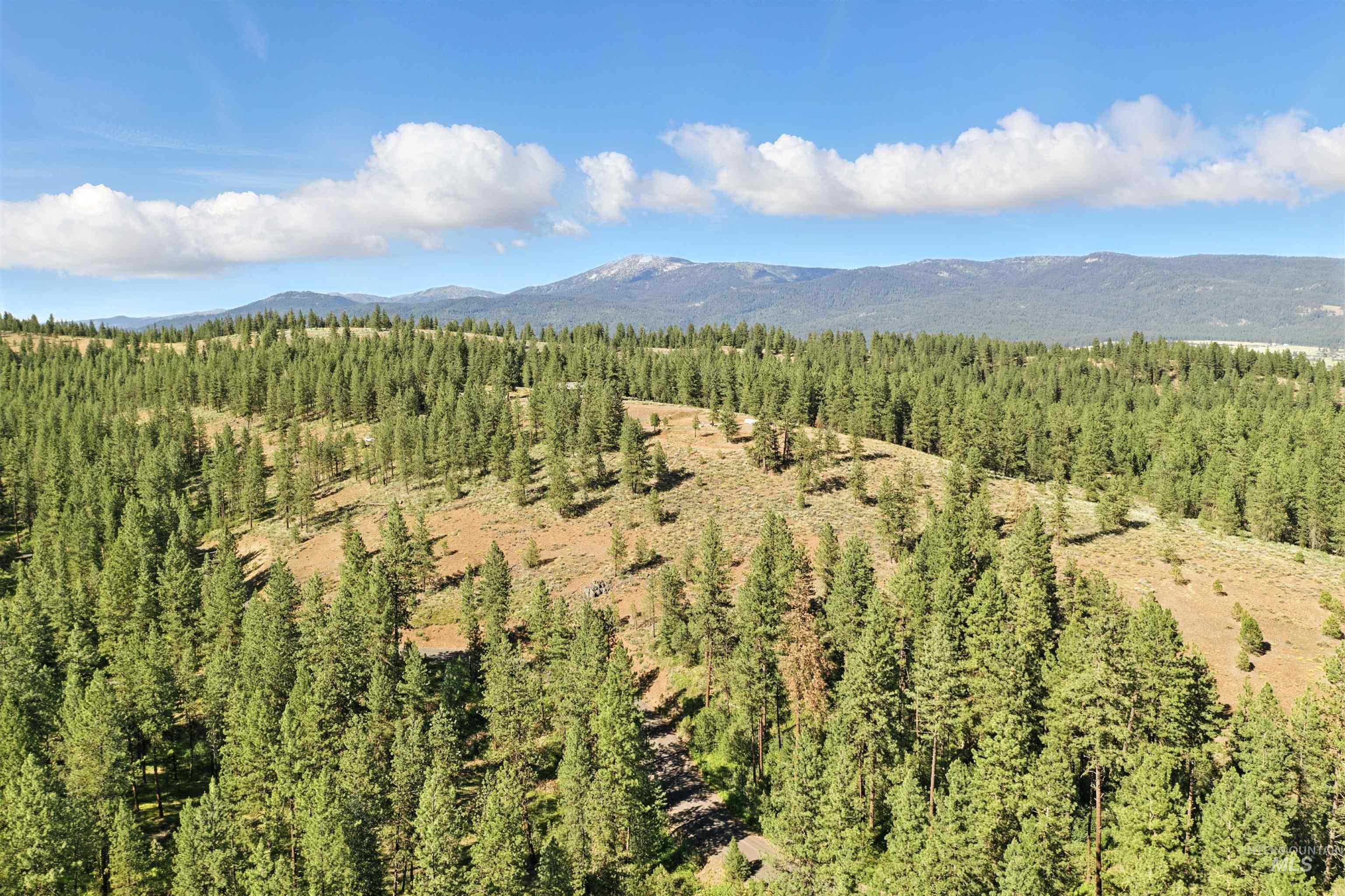 Lot 7 BLK1 Van Dorn Estates, New Meadows, Idaho 83654, Land For Sale, Price $249,900,MLS 98980322