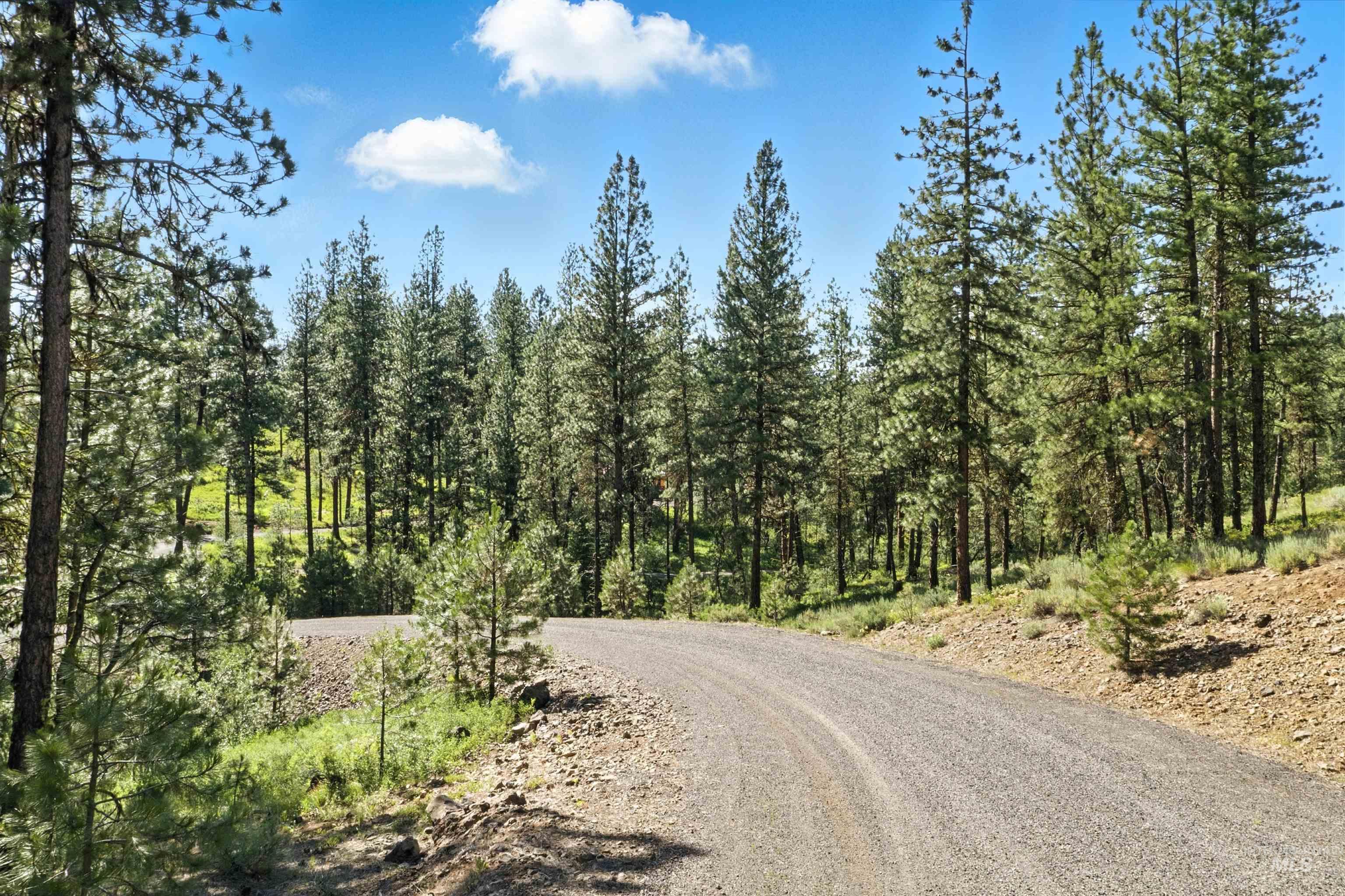 Lot 7 BLK1 Van Dorn Estates, New Meadows, Idaho 83654, Land For Sale, Price $249,900,MLS 98980322