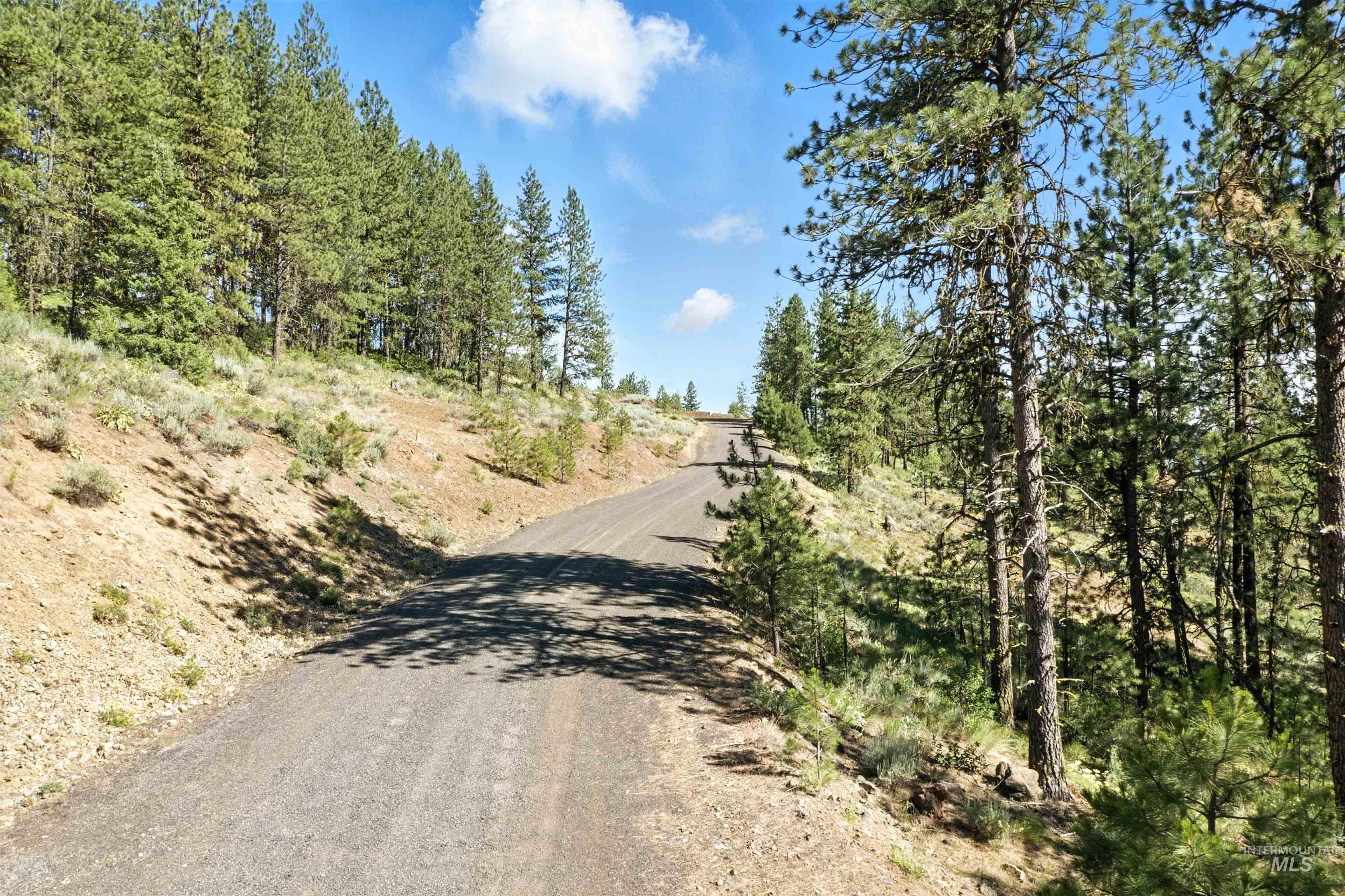 Lot 7 BLK1 Van Dorn Estates, New Meadows, Idaho 83654, Land For Sale, Price $249,900,MLS 98980322