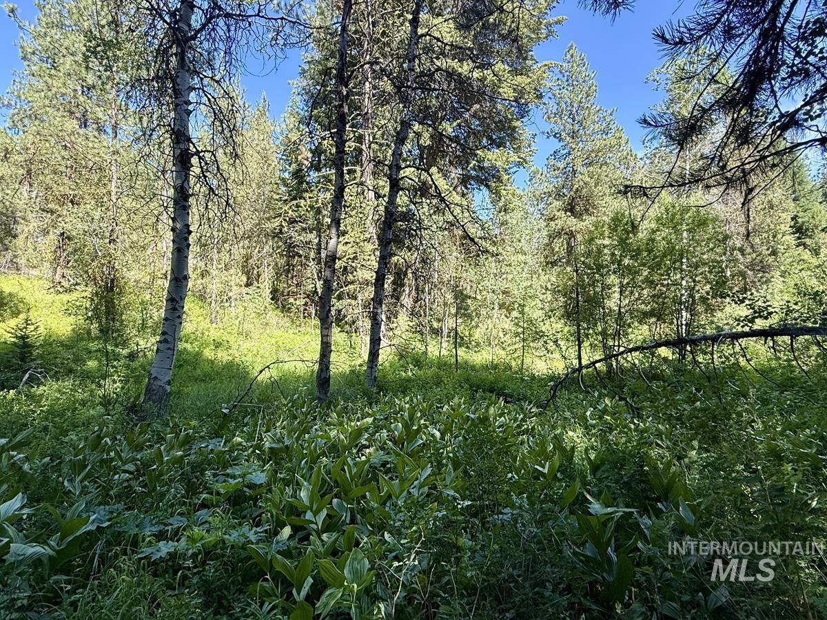 83 Panorama Drive, Cascade, Idaho 83611, Land For Sale, Price $64,900,MLS 98980348