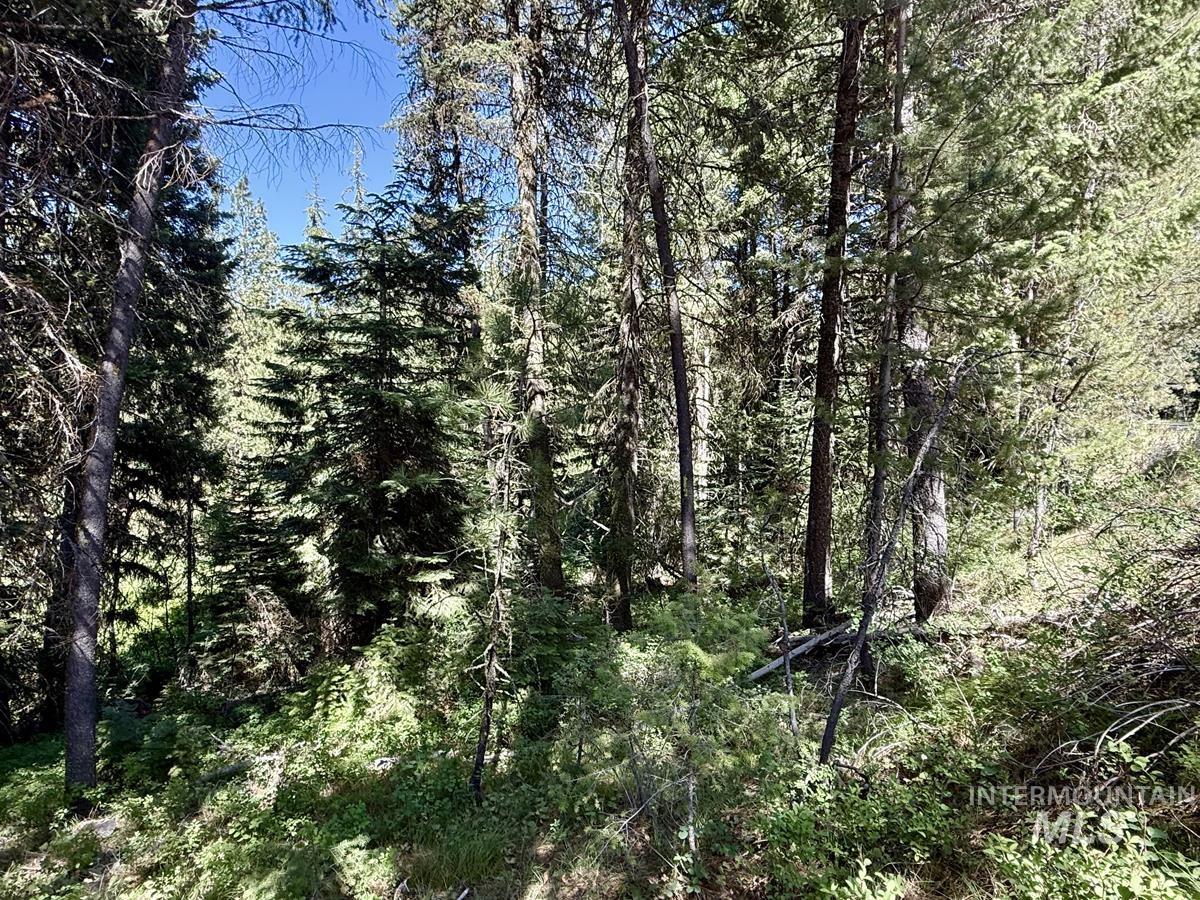 83 Panorama Drive, Cascade, Idaho 83611, Land For Sale, Price $64,900,MLS 98980348