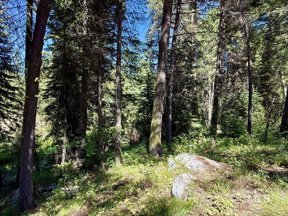 83 Panorama Drive, Cascade, Idaho 83611, Land For Sale, Price $64,900,MLS 98980348