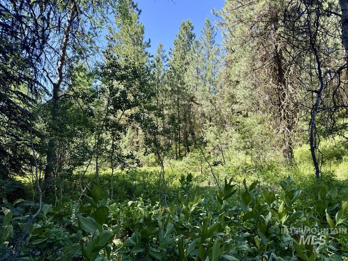 83 Panorama Drive, Cascade, Idaho 83611, Land For Sale, Price $64,900,MLS 98980348