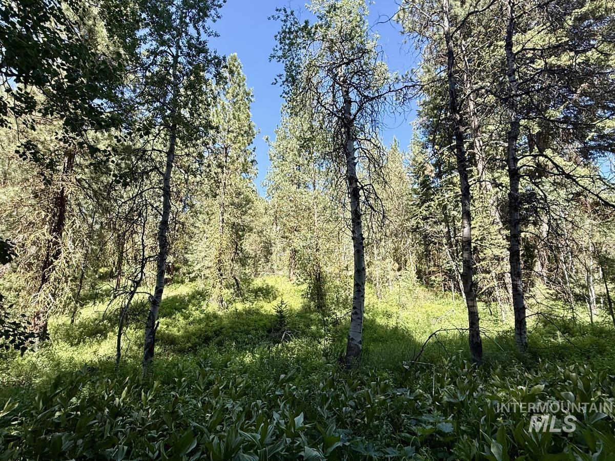 83 Panorama Drive, Cascade, Idaho 83611, Land For Sale, Price $64,900,MLS 98980348