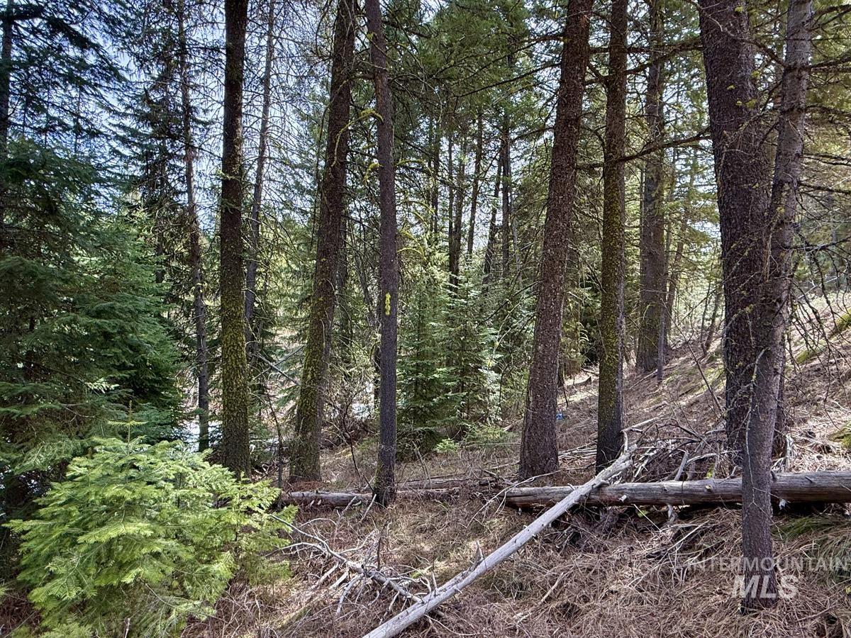 83 Panorama Drive, Cascade, Idaho 83611, Land For Sale, Price $64,900,MLS 98980348