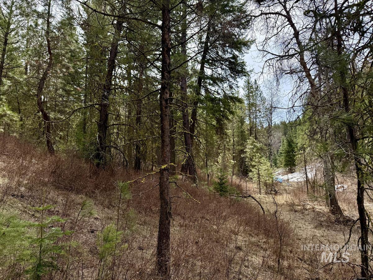 83 Panorama Drive, Cascade, Idaho 83611, Land For Sale, Price $64,900,MLS 98980348
