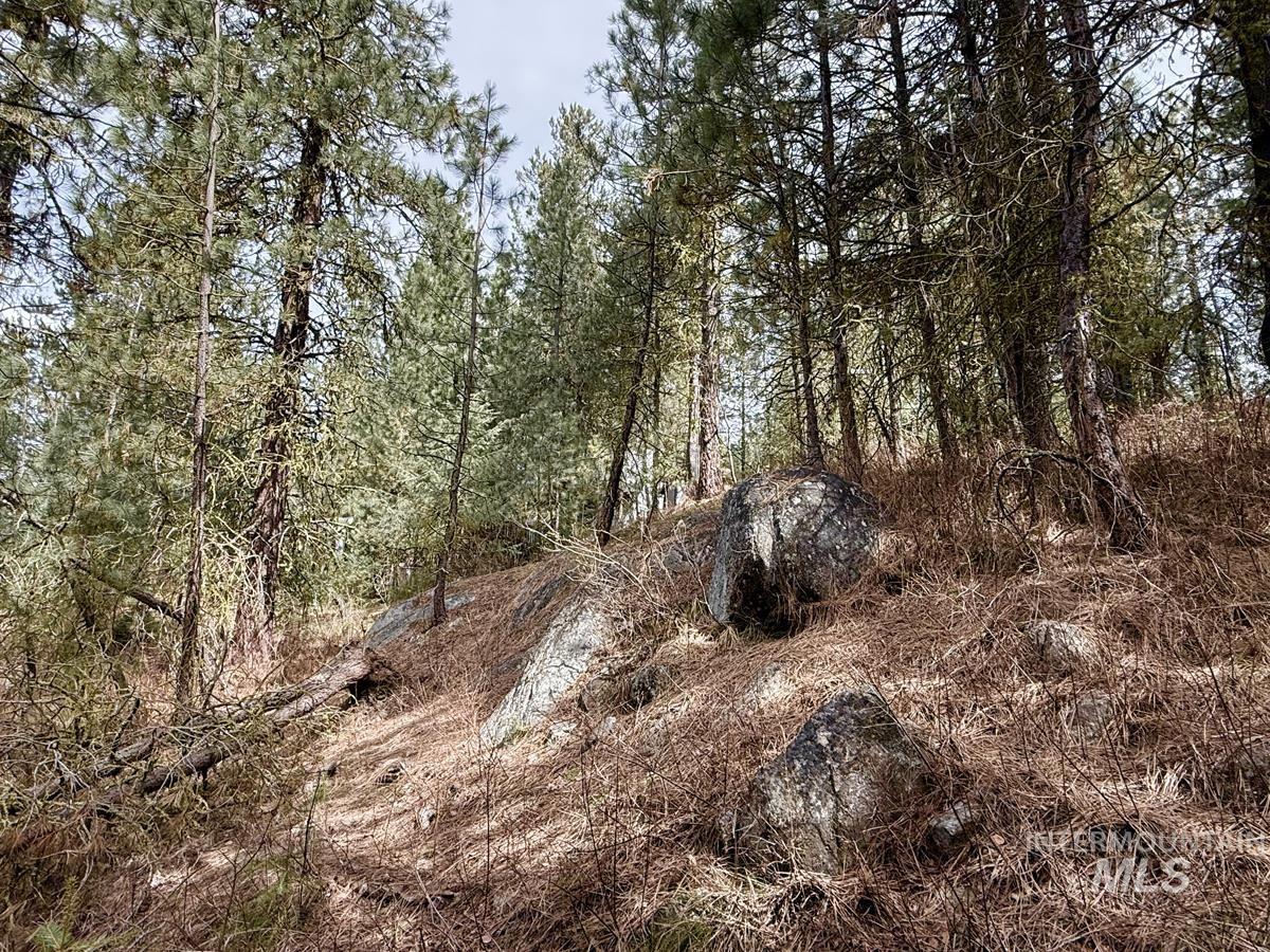 83 Panorama Drive, Cascade, Idaho 83611, Land For Sale, Price $64,900,MLS 98980348