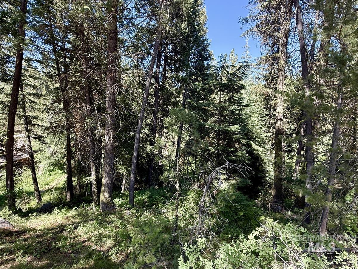83 Panorama Drive, Cascade, Idaho 83611, Land For Sale, Price $64,900,MLS 98980348