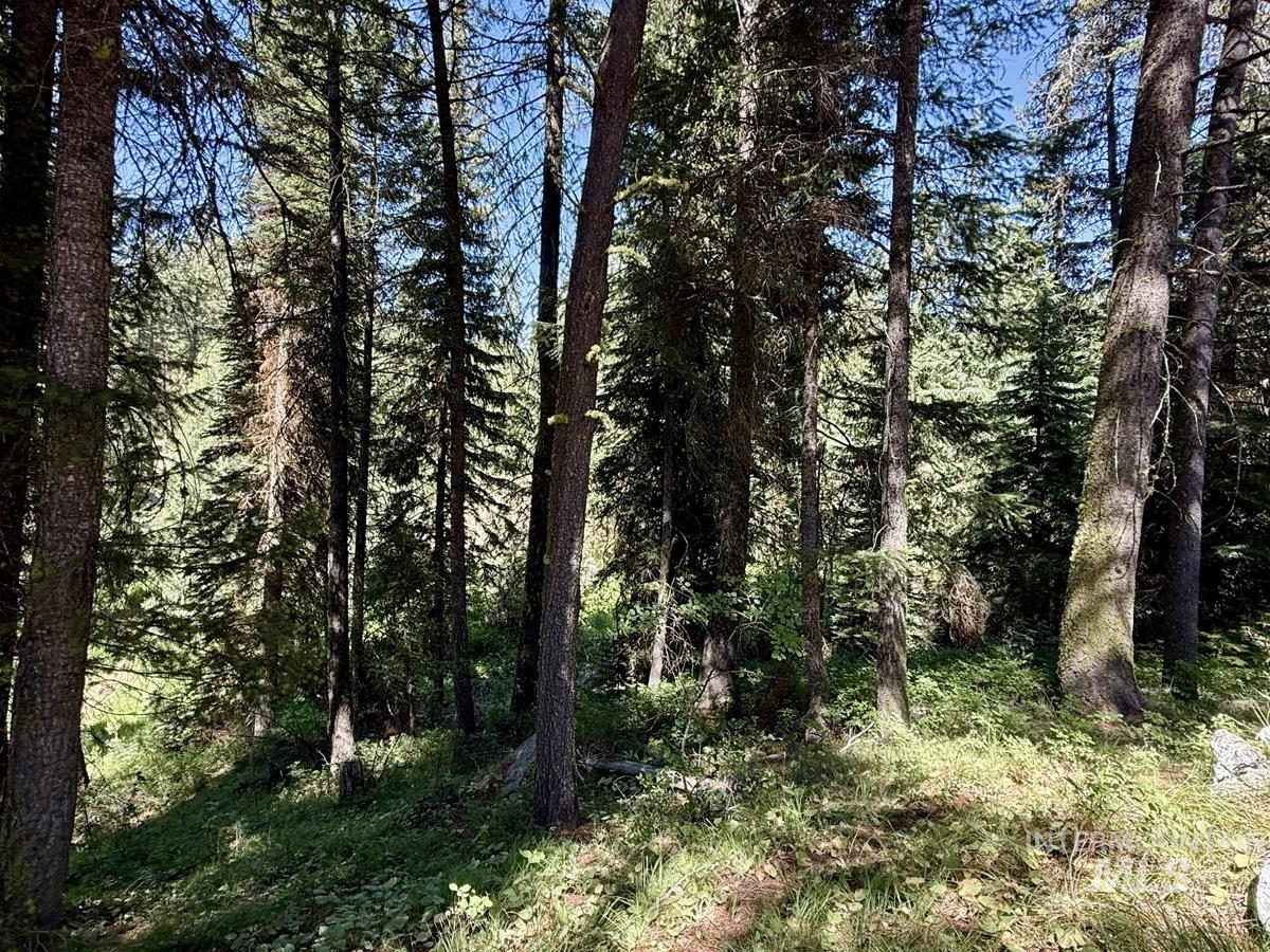 83 Panorama Drive, Cascade, Idaho 83611, Land For Sale, Price $64,900,MLS 98980348