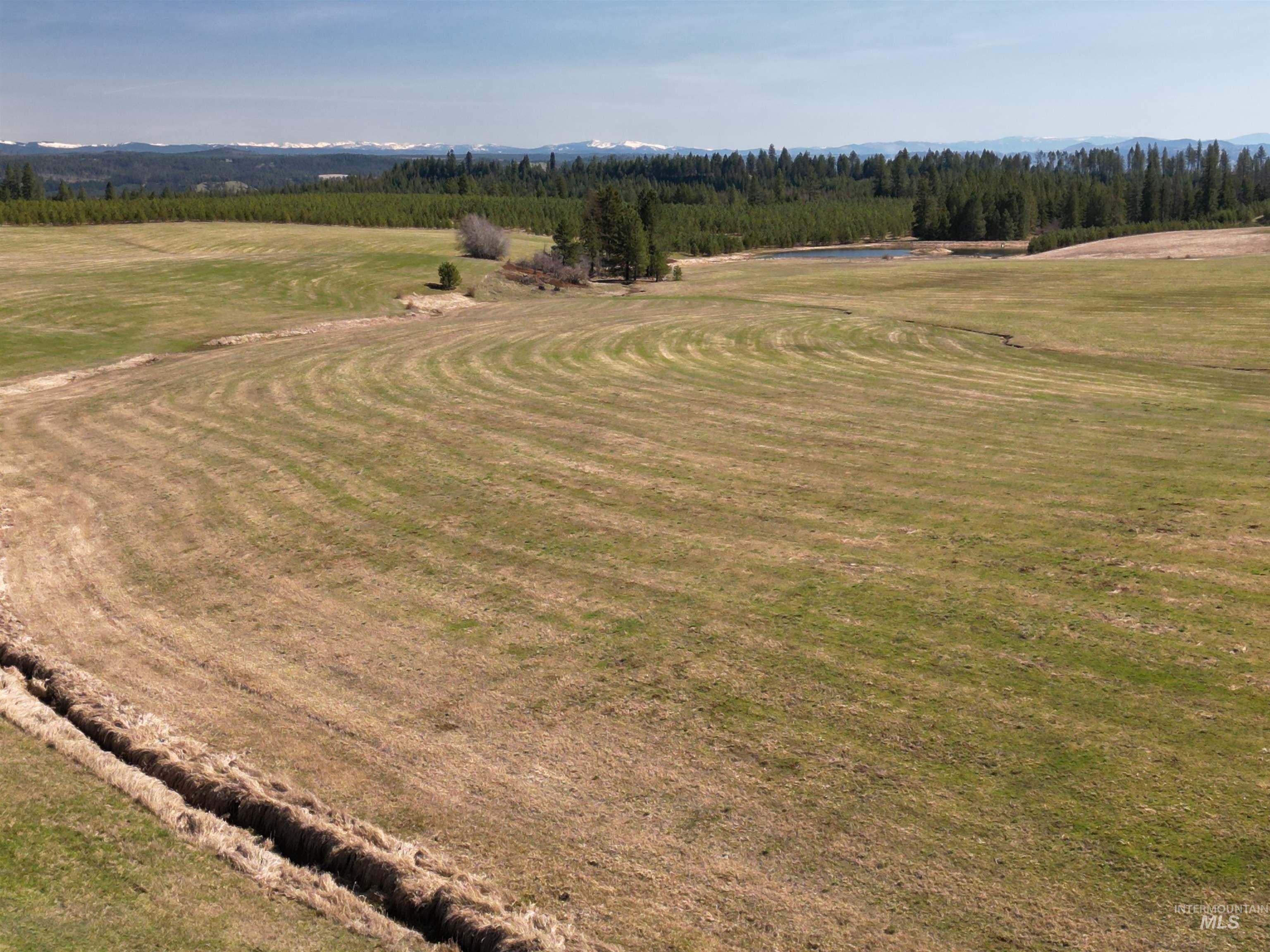 0 Silver Lane, Lenore, Idaho 83541, Land For Sale, Price $285,000,MLS 98980355