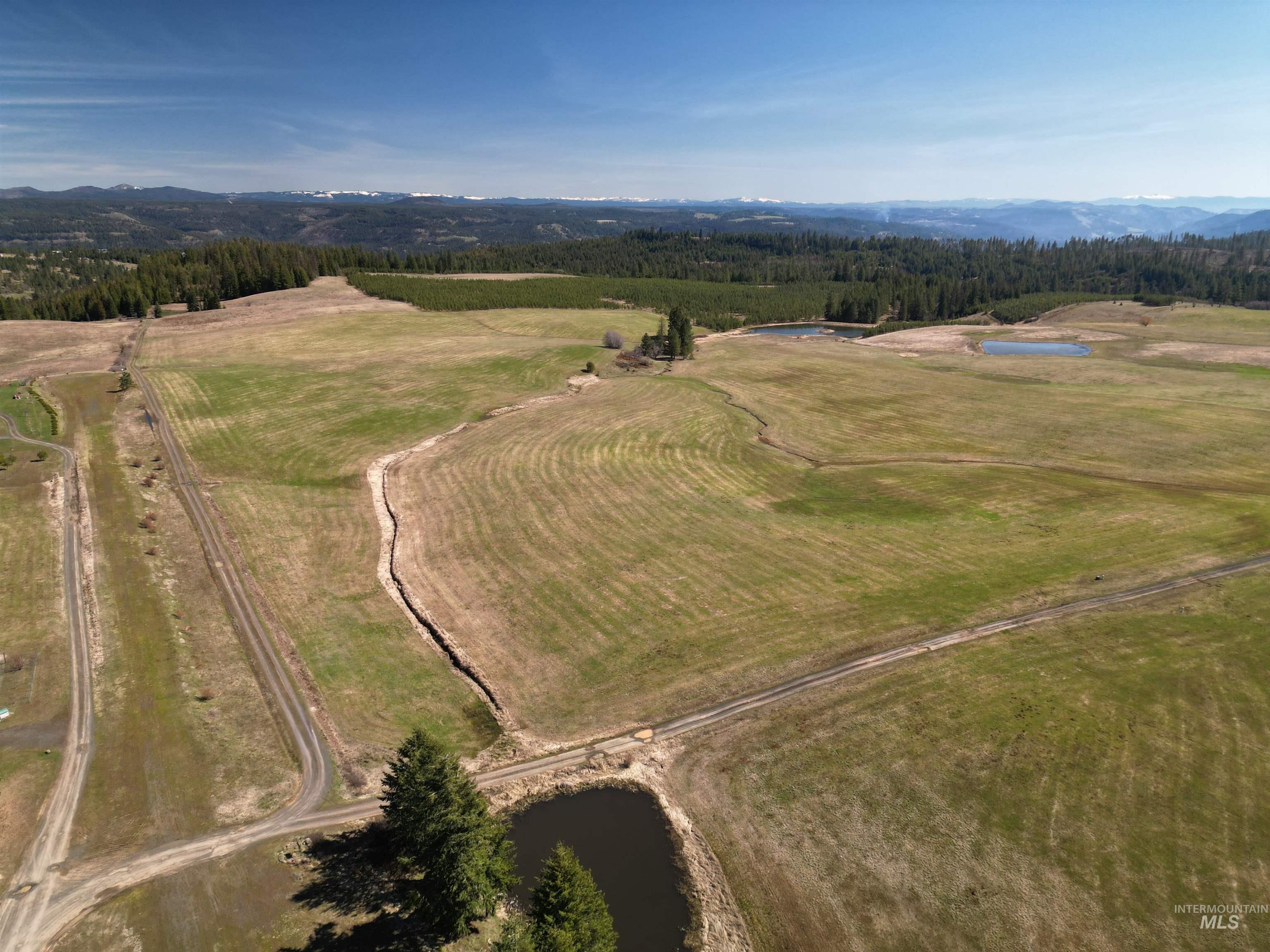 0 Silver Lane, Lenore, Idaho 83541, Land For Sale, Price $285,000,MLS 98980355