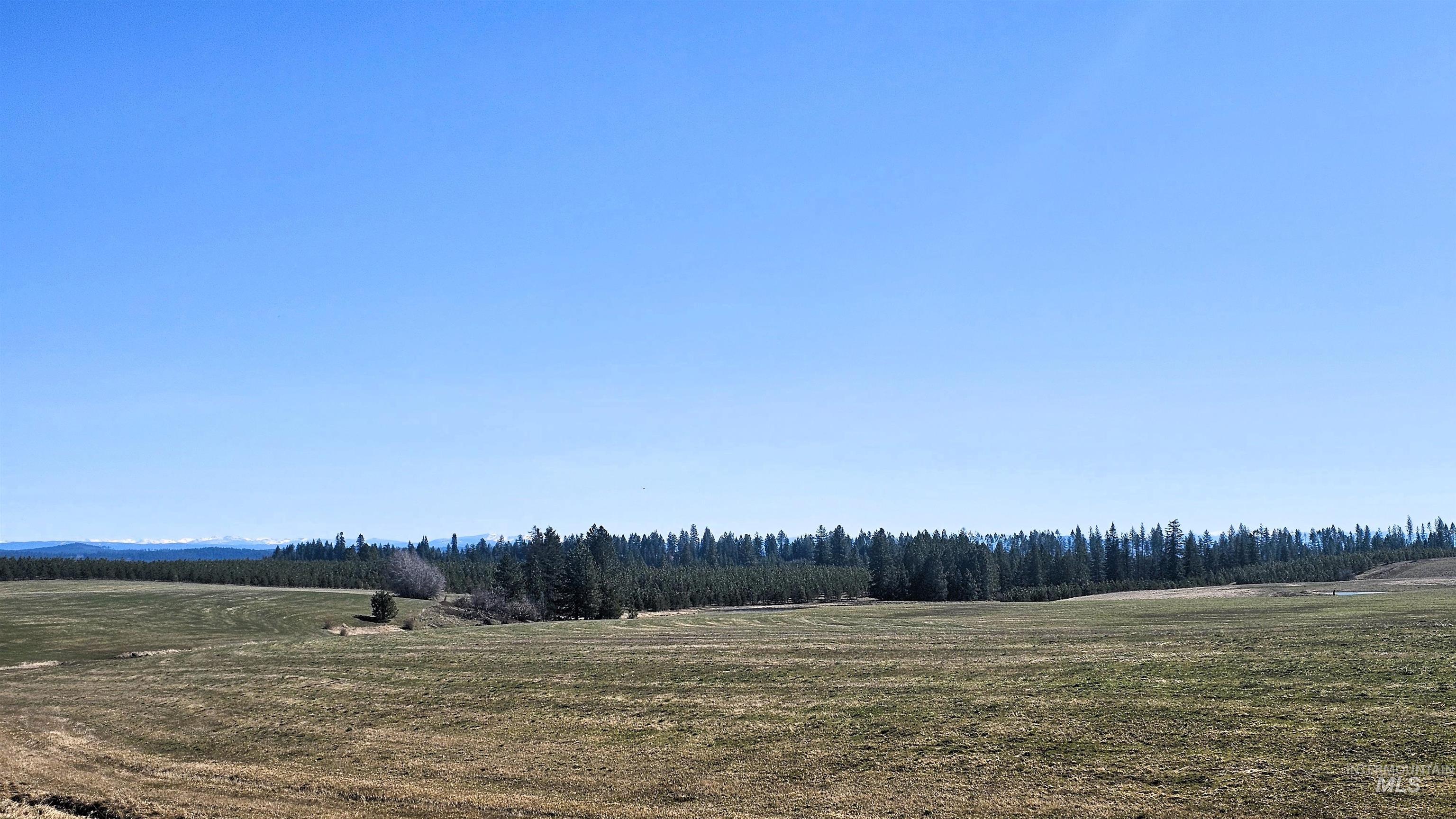 0 Silver Lane, Lenore, Idaho 83541, Land For Sale, Price $285,000,MLS 98980355