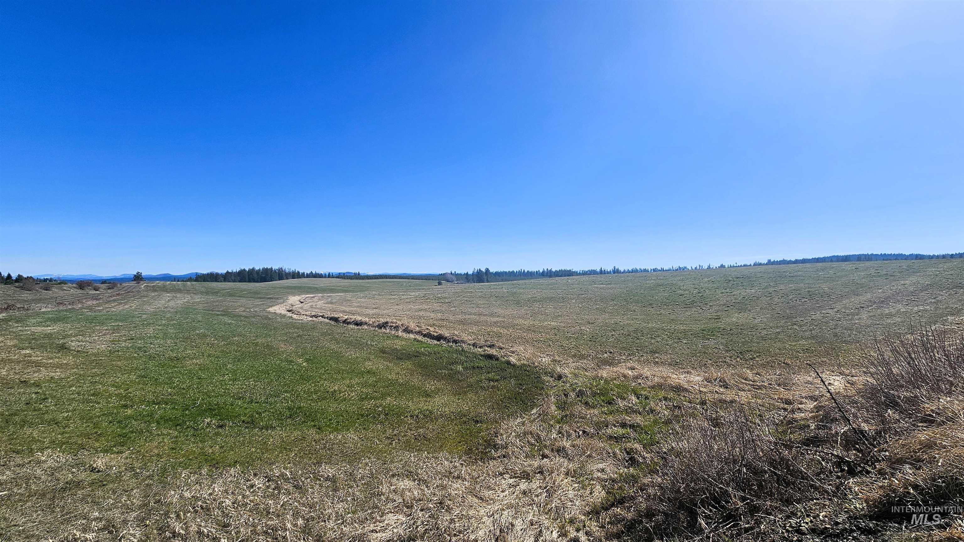 0 Silver Lane, Lenore, Idaho 83541, Land For Sale, Price $285,000,MLS 98980355