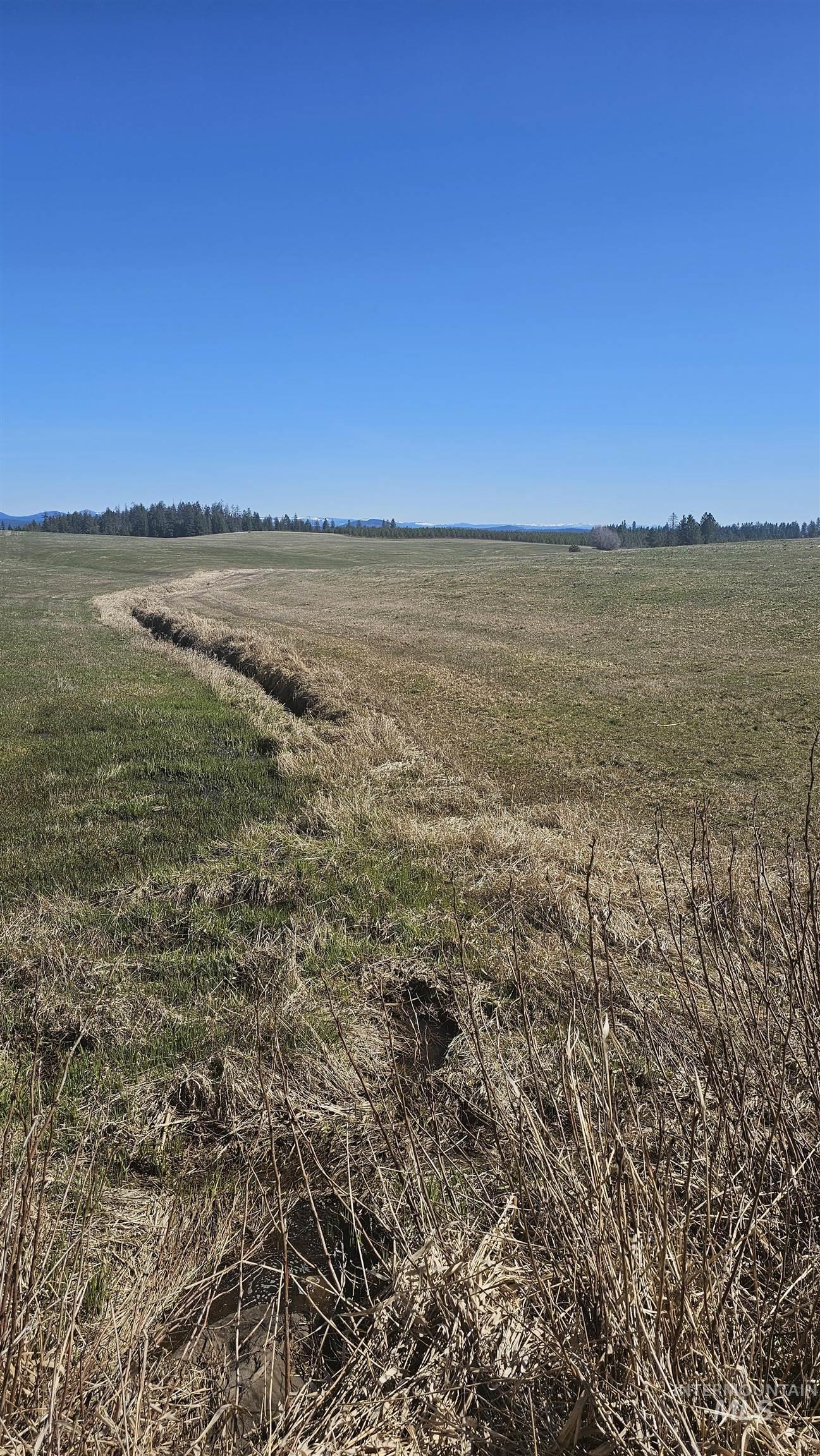 0 Silver Lane, Lenore, Idaho 83541, Land For Sale, Price $285,000,MLS 98980355