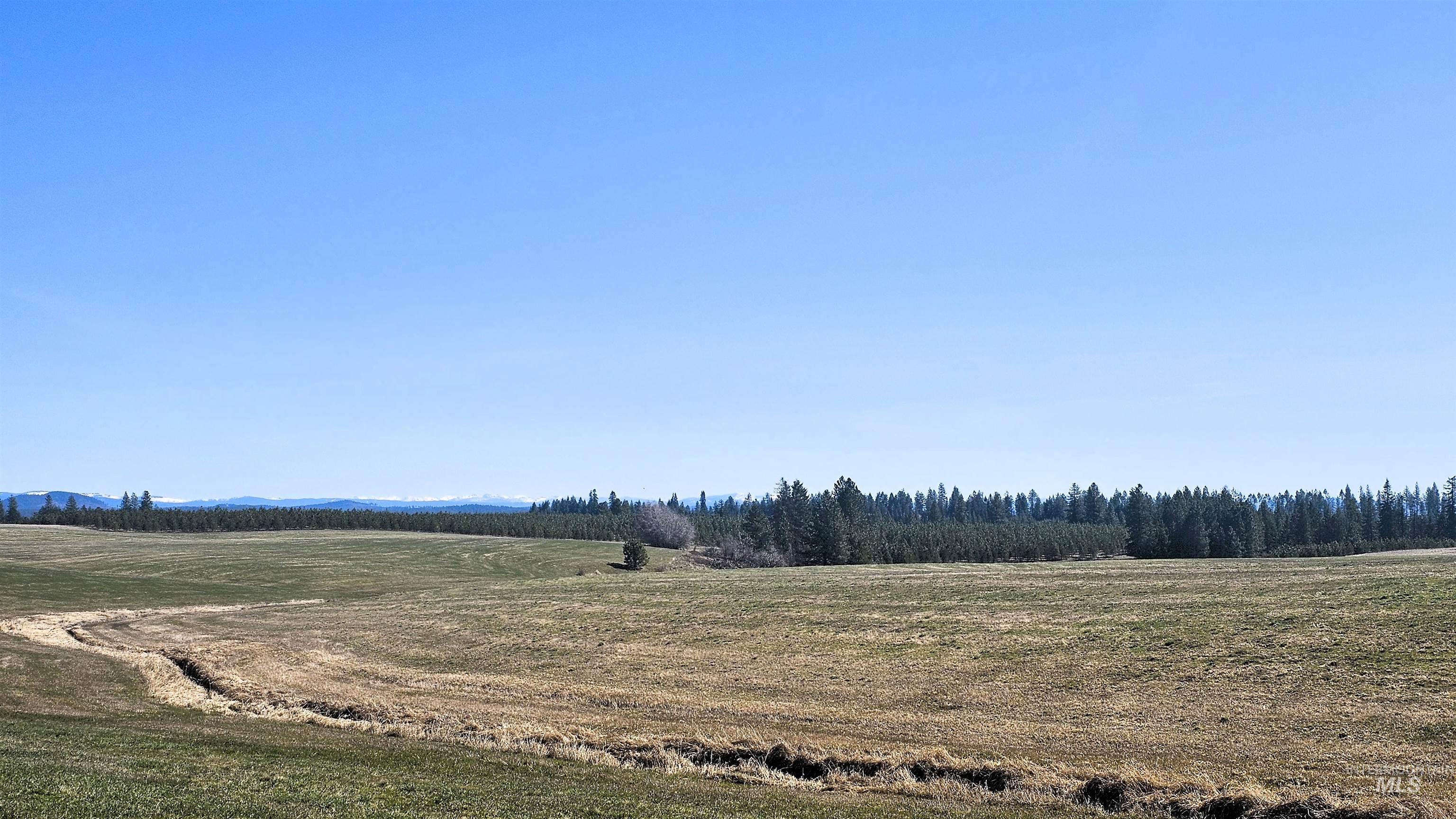0 Silver Lane, Lenore, Idaho 83541, Land For Sale, Price $285,000,MLS 98980355