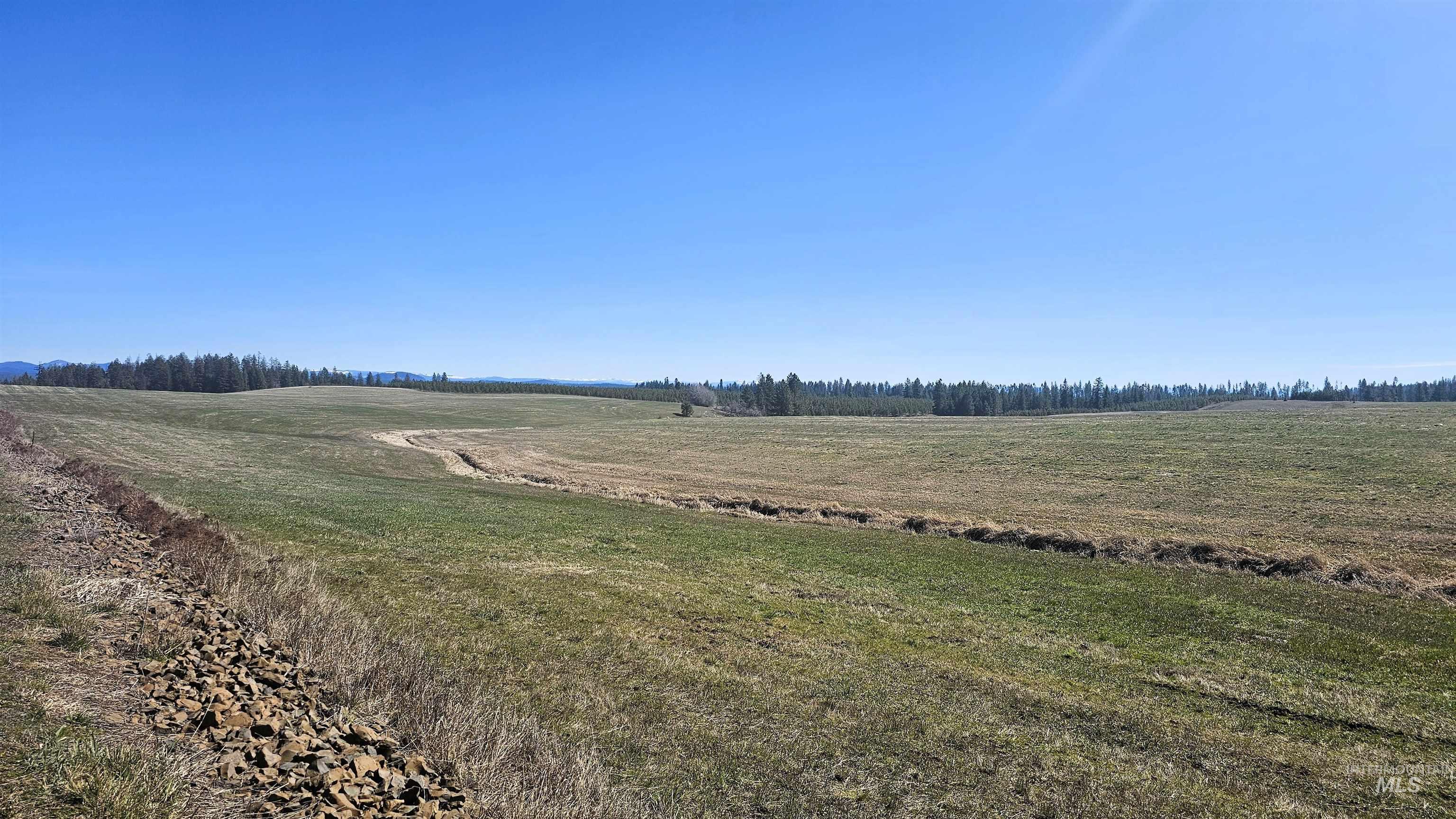 0 Silver Lane, Lenore, Idaho 83541, Land For Sale, Price $285,000,MLS 98980355