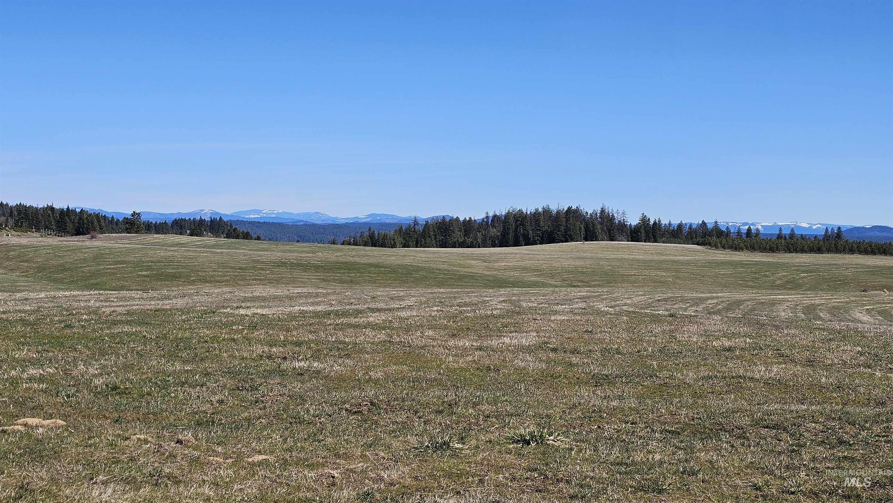 0 Silver Lane, Lenore, Idaho 83541, Land For Sale, Price $285,000,MLS 98980355