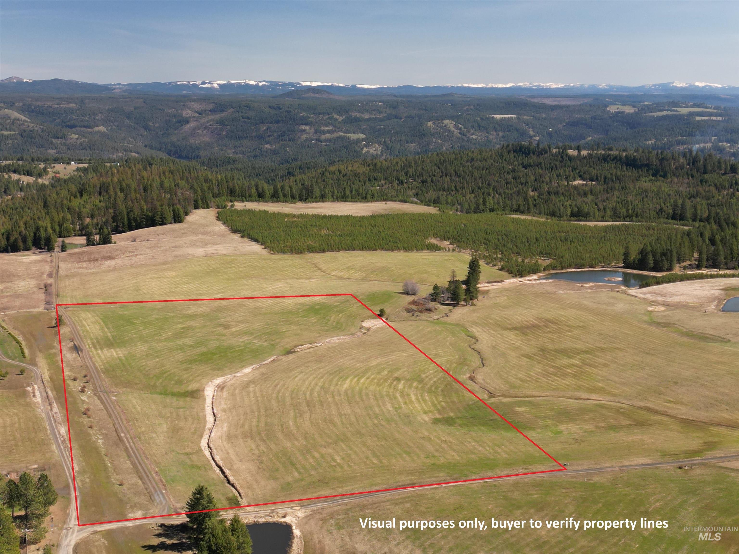 0 Silver Lane, Lenore, Idaho 83541, Land For Sale, Price $285,000,MLS 98980355