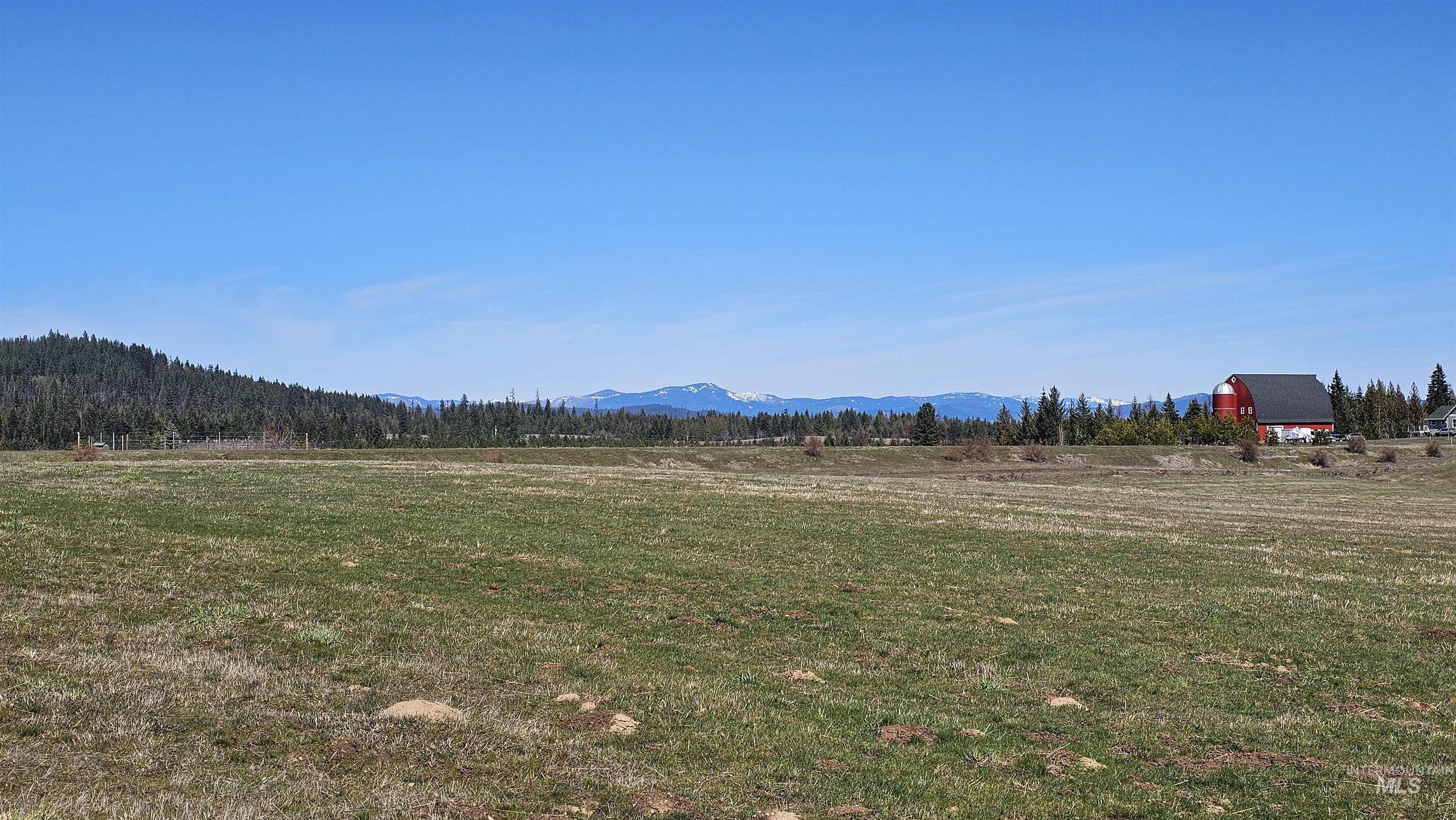 0 Silver Lane, Lenore, Idaho 83541, Land For Sale, Price $285,000,MLS 98980355