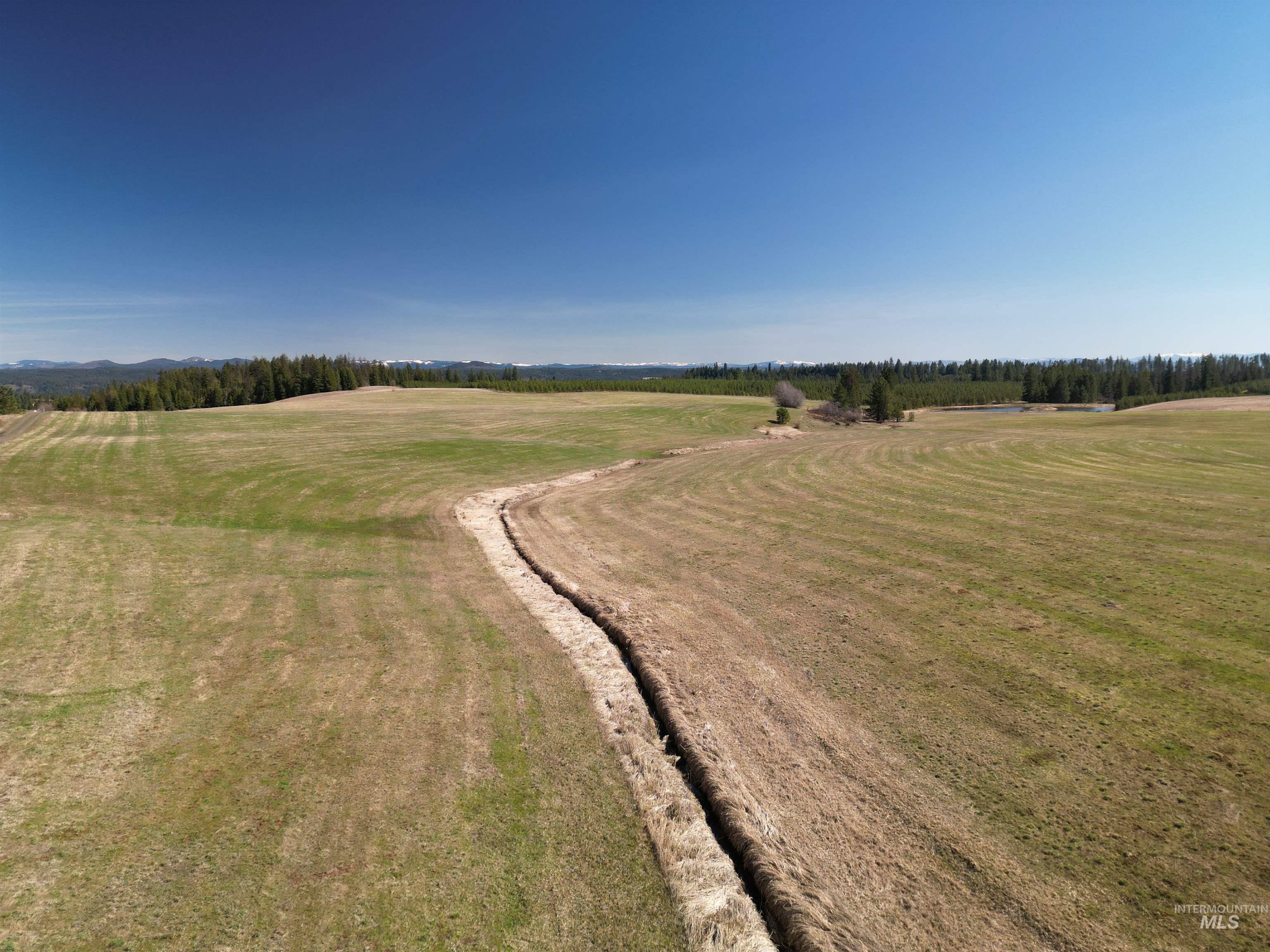 0 Silver Lane, Lenore, Idaho 83541, Land For Sale, Price $285,000,MLS 98980355