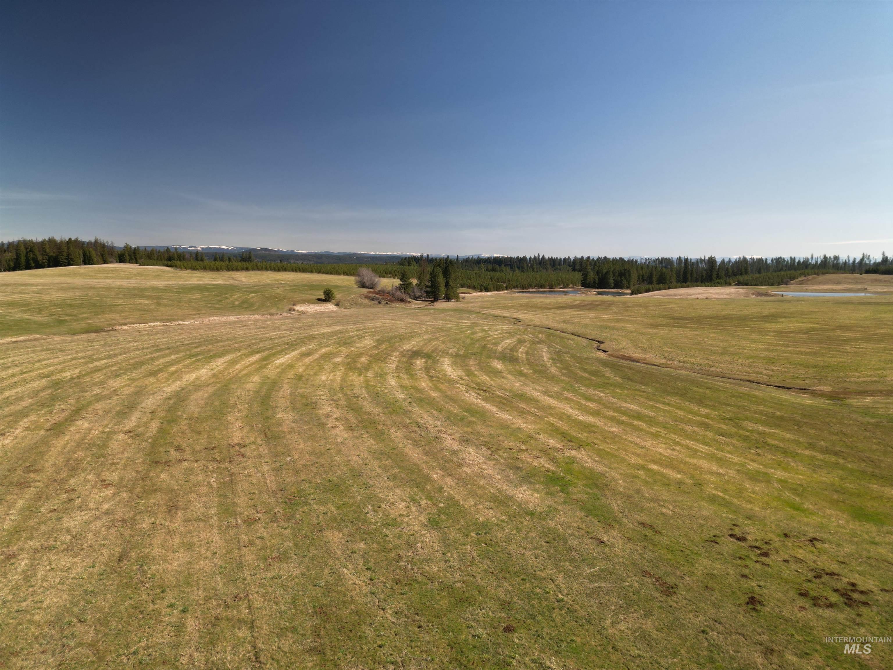 0 Silver Lane, Lenore, Idaho 83541, Land For Sale, Price $285,000,MLS 98980355