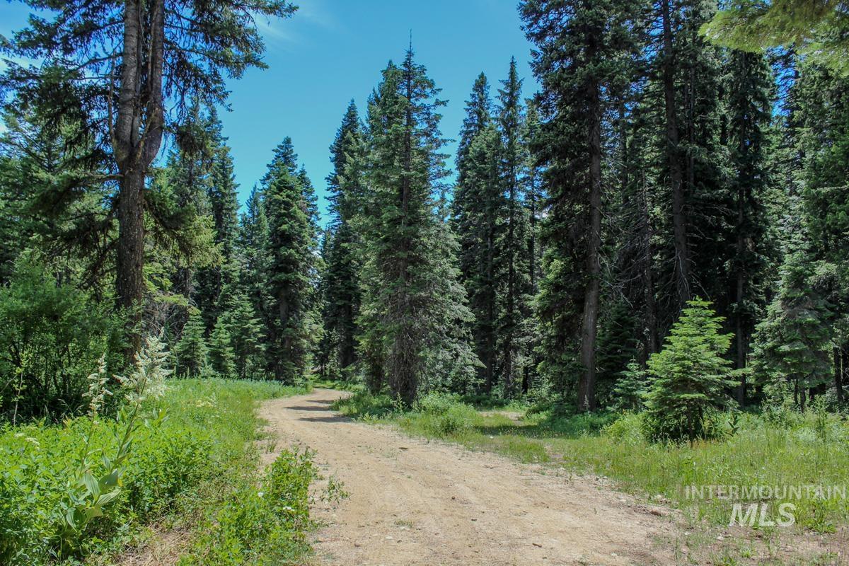 1801 Canary Trail, Donnelly, Idaho 83615, Land For Sale, Price $250,000,MLS 98980400