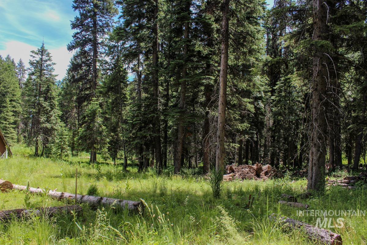 1801 Canary Trail, Donnelly, Idaho 83615, Land For Sale, Price $250,000,MLS 98980400