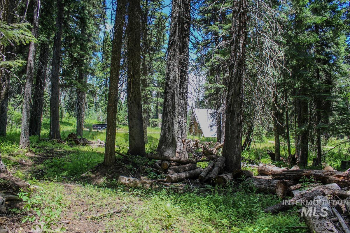 1801 Canary Trail, Donnelly, Idaho 83615, Land For Sale, Price $250,000,MLS 98980400