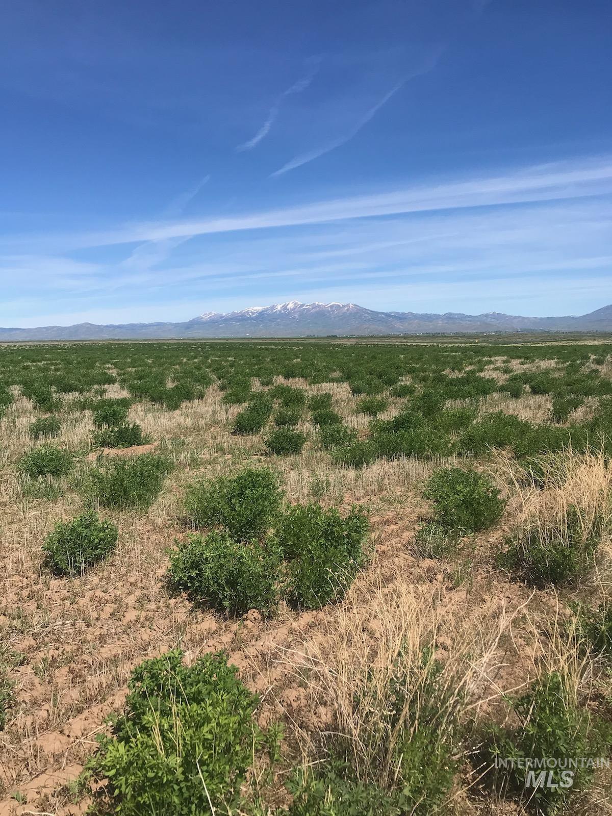 TBD Redtail Ln Lot 7 Blk 2, Fairfield, Idaho 83327, Land For Sale, Price $89,000,MLS 98980406