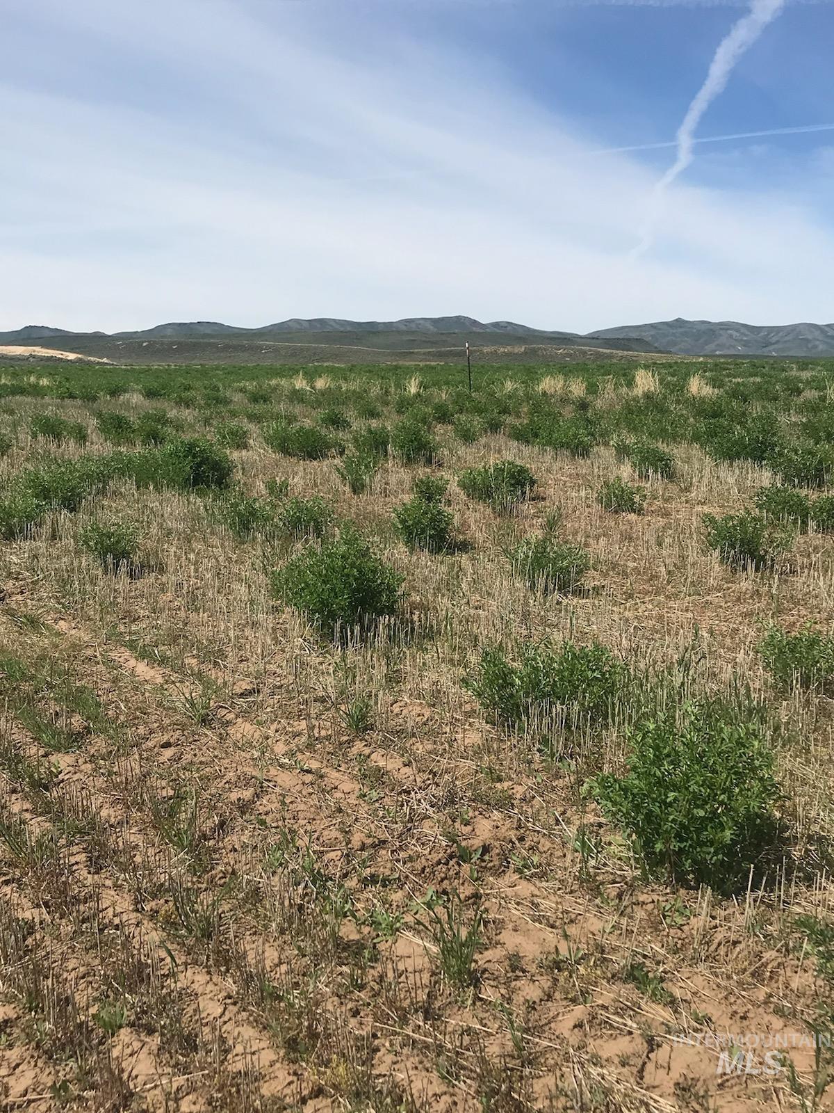 TBD Redtail Ln Lot 7 Blk 2, Fairfield, Idaho 83327, Land For Sale, Price $89,000,MLS 98980406