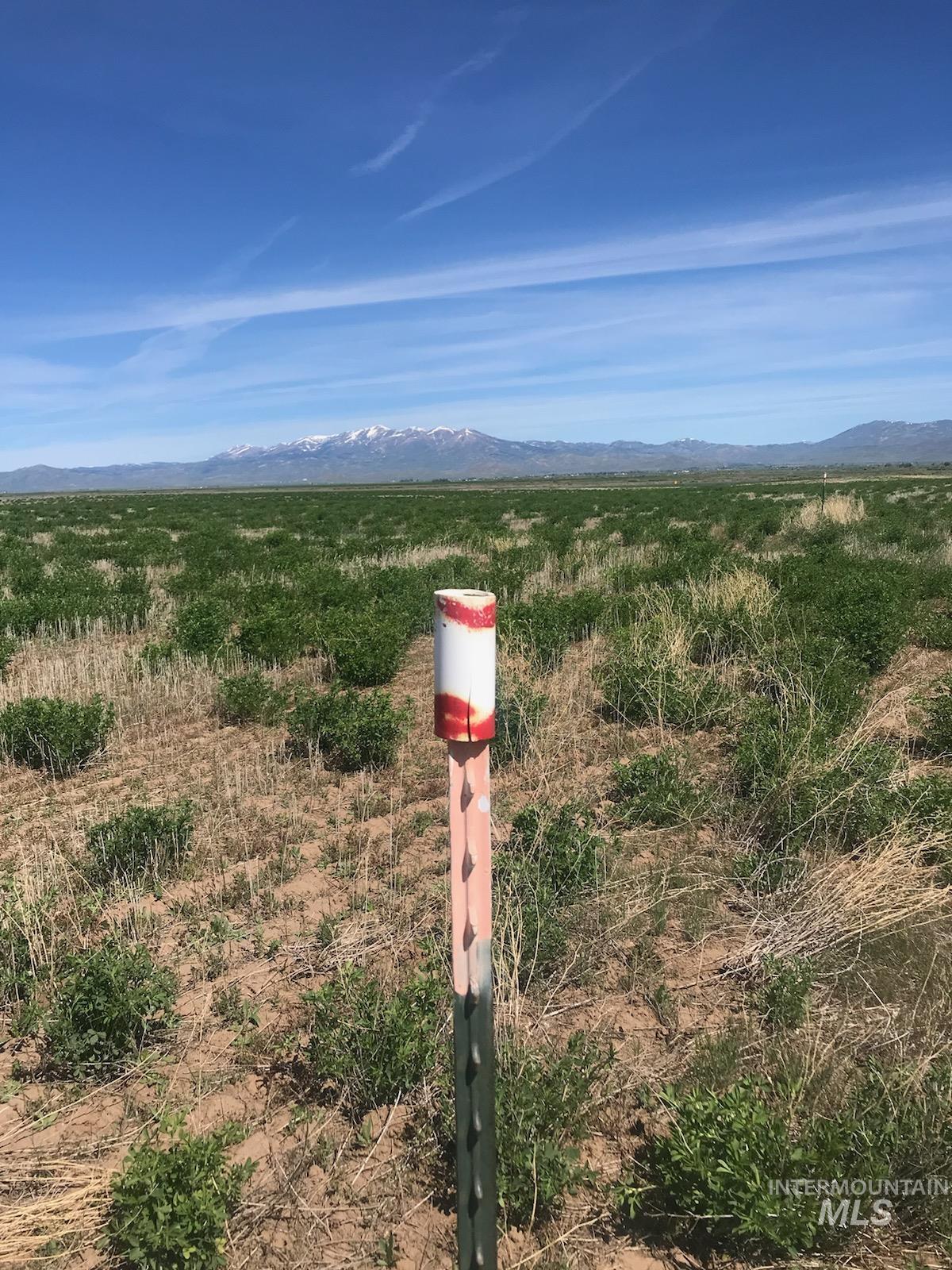 TBD Redtail Ln Lot 7 Blk 2, Fairfield, Idaho 83327, Land For Sale, Price $89,000,MLS 98980406