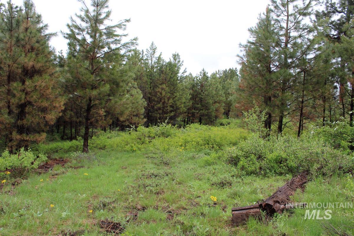 9 Kayla Way, Cascade, Idaho 83611, Land For Sale, Price $174,000, 98980429