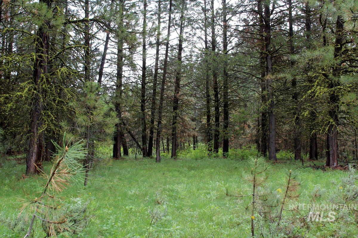 9 Kayla Way, Cascade, Idaho 83611, Land For Sale, Price $174,000, 98980429