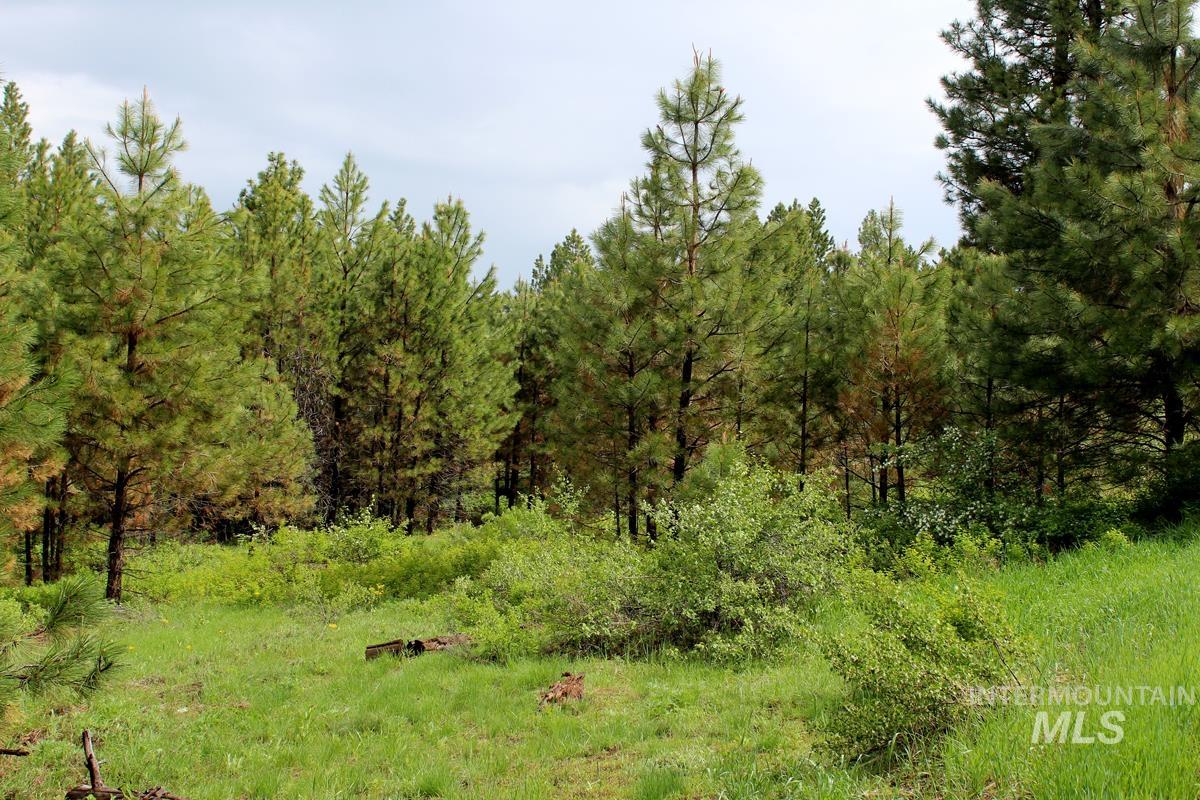 9 Kayla Way, Cascade, Idaho 83611, Land For Sale, Price $174,000, 98980429
