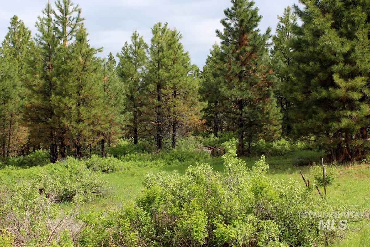 9 Kayla Way, Cascade, Idaho 83611, Land For Sale, Price $174,000, 98980429