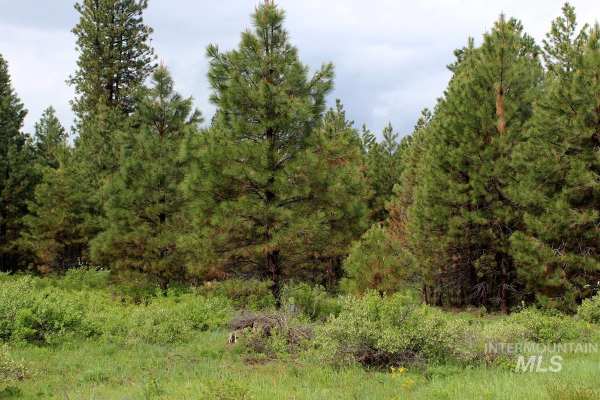 9 Kayla Way, Cascade, Idaho 83611, Land For Sale, Price $174,000, 98980429