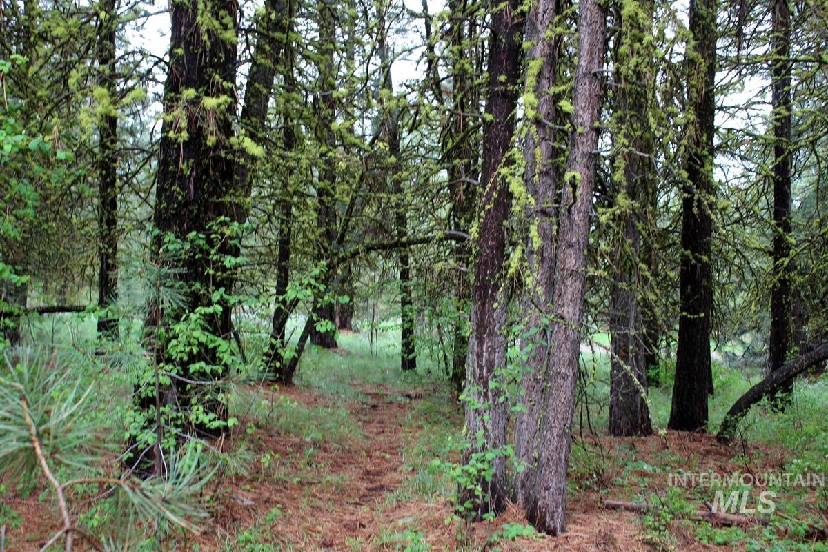 9 Kayla Way, Cascade, Idaho 83611, Land For Sale, Price $174,000, 98980429