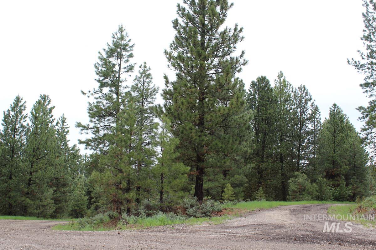 9 Kayla Way, Cascade, Idaho 83611, Land For Sale, Price $174,000, 98980429