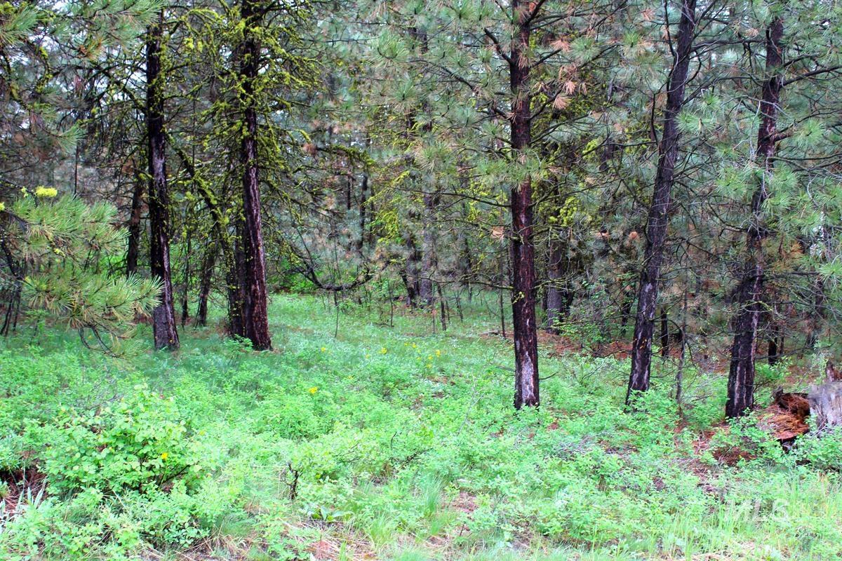 9 Kayla Way, Cascade, Idaho 83611, Land For Sale, Price $174,000, 98980429