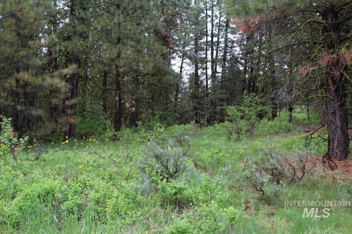 9 Kayla Way, Cascade, Idaho 83611, Land For Sale, Price $174,000, 98980429